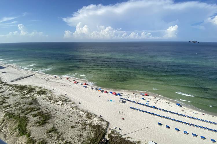The Best Destinations in Florida for Snowbirds Sun & Sand Rentals